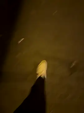 Txkng98 online show from September 18, 11:51 pm