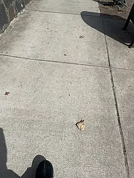 GersonGil1 online show from March 30, 4:41 pm