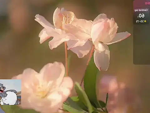 Lovensetest online show from October 22, 7:23 am