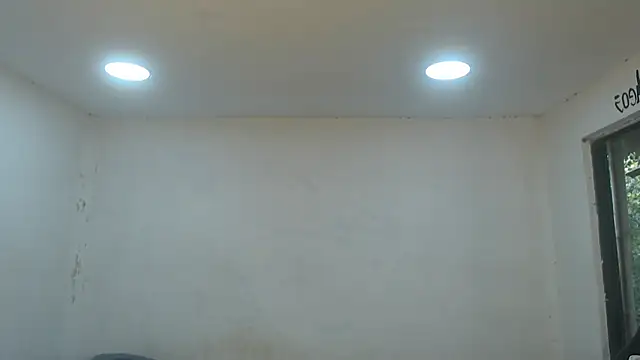 danielitopapuu online show from November 4, 2:29 pm