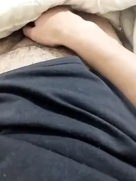 pedram95 online show from November 12, 12:38 am