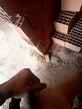 Kurtsikicixh online show from October 22, 9:46 am