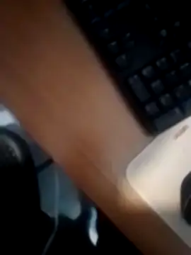 betinhodelas online show from December 26, 2:16 pm