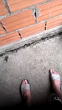 mendelicius online show from April 11, 11:14 am