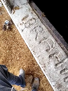 murokkk31 online show from November 15, 12:51 pm