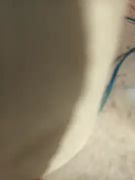 cachondoyardiente online show from March 16, 2:00 pm