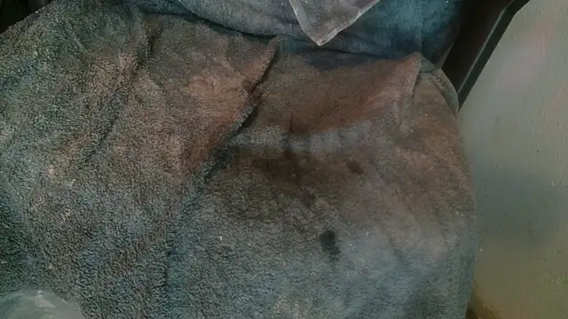 Gigadickman online show from January 14, 8:26 pm