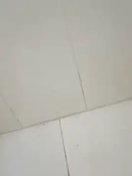 taradobbsafadok online show from December 1, 11:30 pm