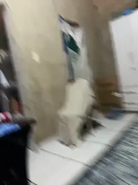 HenriqueH3 online show from March 2, 4:14 pm