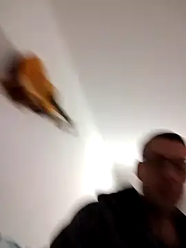 Meriozoro online show from October 7, 8:46 pm