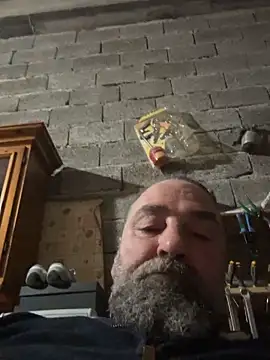 ros217 online show from November 17, 5:05 pm