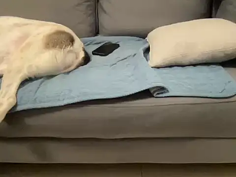 4small4inchlol online show from October 2, 7:18 pm