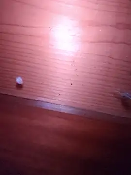 brbrrbrbrb online show from February 24, 2:51 pm