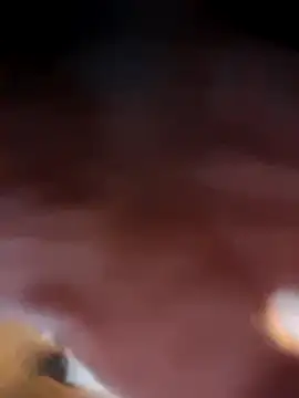 gettinit2wice online show from December 4, 11:01 pm