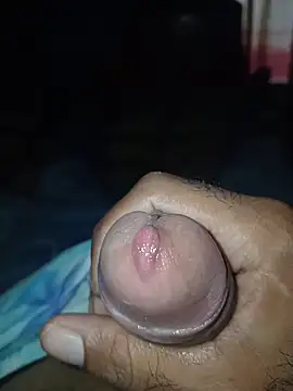 taylorWiiz online show from February 8, 3:16 pm