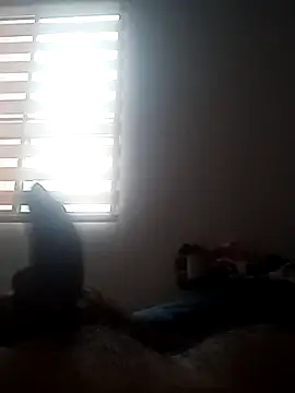 juiba1004 online show from November 15, 7:38 pm