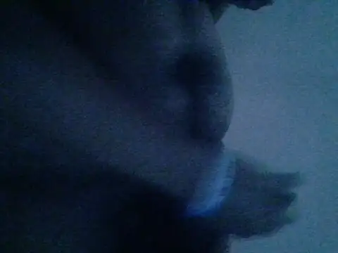 mateomalp675 90 online show from April 28, 3:28 pm