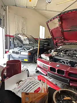 donnuozfutura online show from February 27, 10:04 am