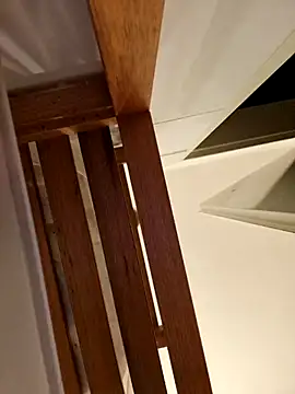 Josephine LIVE online show from November 28, 5:21 am