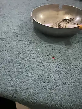 homidor online show from January 8, 6:41 pm