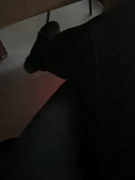 homidor online show from December 20, 2:16 pm