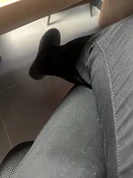 homidor online show from January 14, 2:11 pm