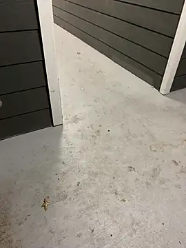 zeekBbc online show from February 10, 2:38 am