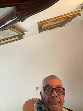 4n4l1zz4m1 online show from February 10, 2:55 pm