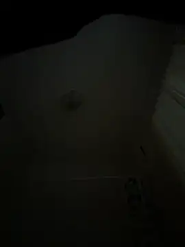 wolfwhite95 online show from February 15, 4:15 pm