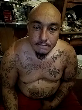 wilsons12 online show from November 2, 1:26 pm