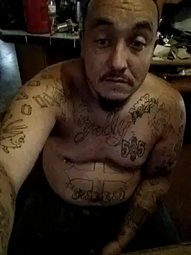 wilsons12 online show from October 22, 2:54 pm