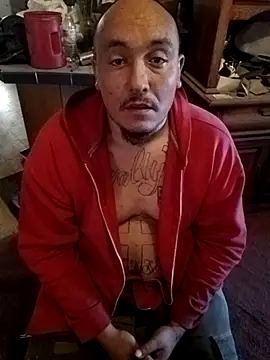 wilsons12 online show from October 20, 2:43 pm