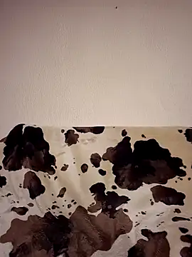 Zgodanilep online show from November 24, 2:01 am