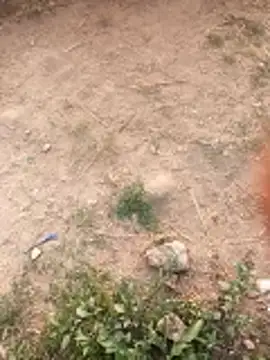 Kuddvujdrukh online show from January 18, 10:39 am