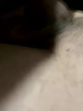 sansato133 online show from January 15, 3:54 am