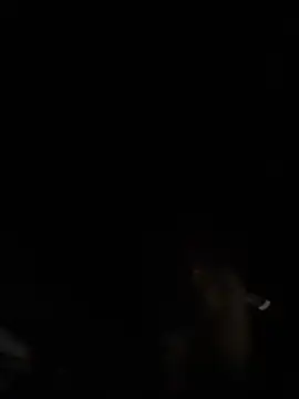 tipico0799 online show from March 2, 1:37 am