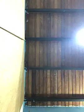 isacalejandroo online show from February 4, 4:16 am