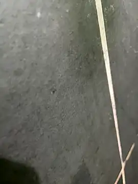 gzn01 online show from October 22, 6:54 pm