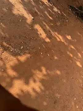 Black mamba madingo online show from March 21, 8:41 am