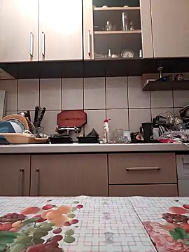 vulpe8400 online show from February 15, 10:46 am