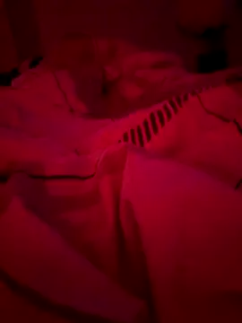 MetalJoint2 online show from November 27, 10:46 pm