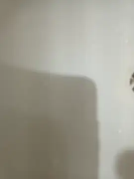 1995eduardo online show from February 17, 3:53 pm