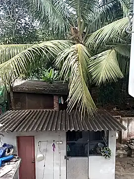 Rj   shan online show from December 13, 10:51 am