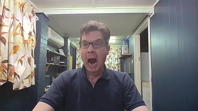 tilobinder online show from January 8, 2:44 pm