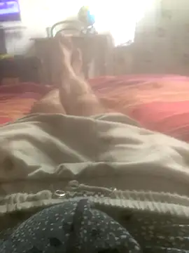 solomec online show from September 13, 8:04 am