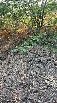 Snapshot of tamil000000 chatting on March 10, 1:56 am tamil000000 online show from March 10, 1:56 am