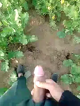 ajaysinghsss online show from January 3, 10:31 am