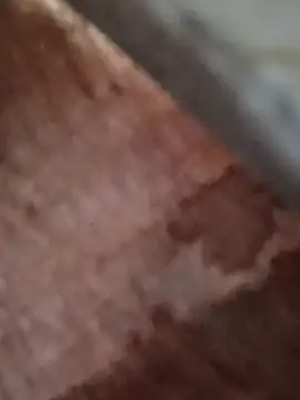 Skinny Bigass 23 online show from March 31, 8:27 am