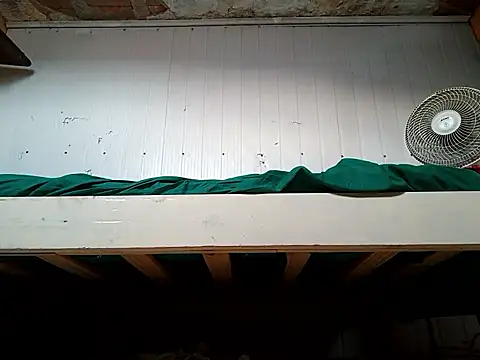 frotasso online show from March 3, 8:50 pm