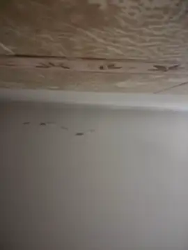 SecretlyDD online show from January 16, 7:17 am